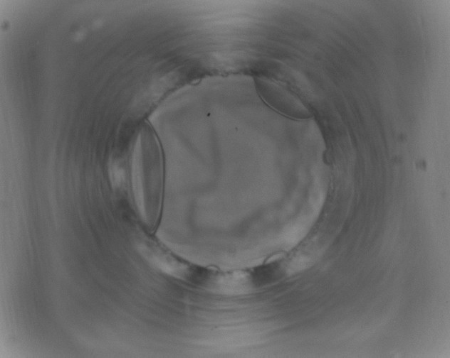 X0000075900576200610151819