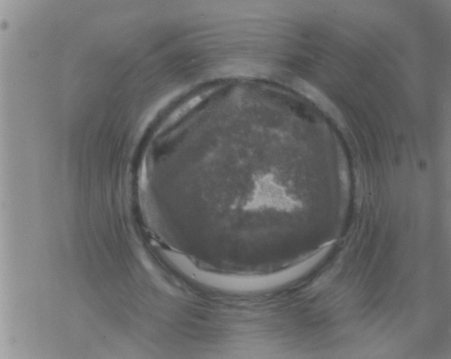 X0000075900580200610151818