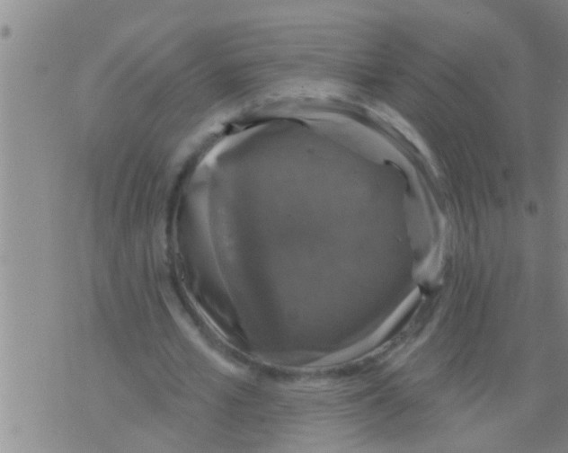 X0000075900581200610151818