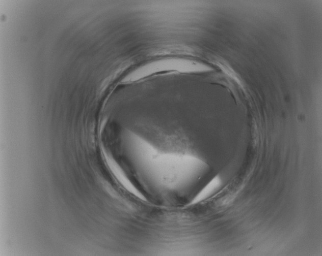 X0000075900585200610151818