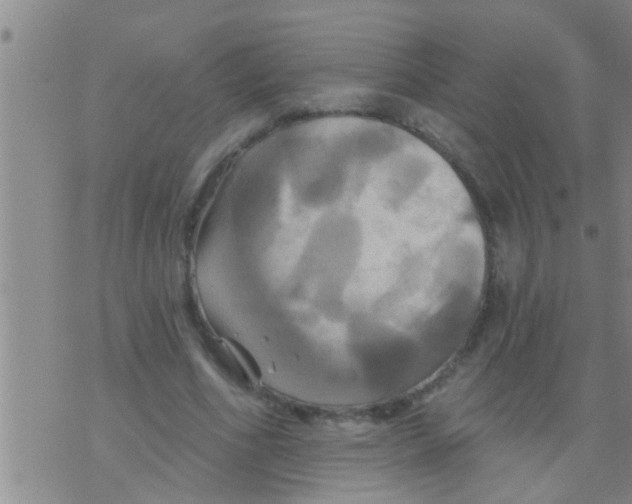 X0000075900586200610151818