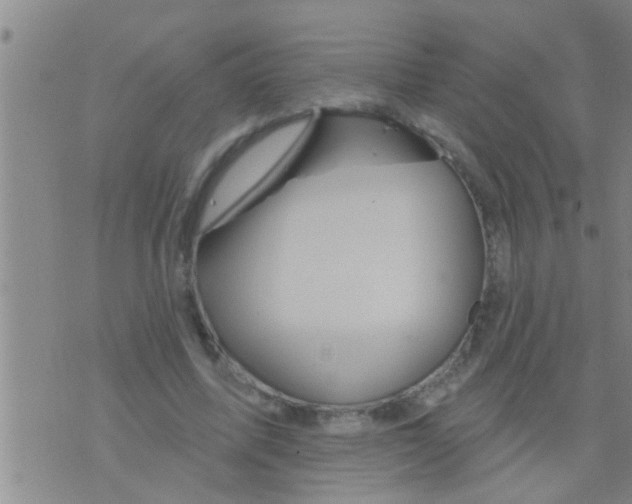 X0000075900587200610151818