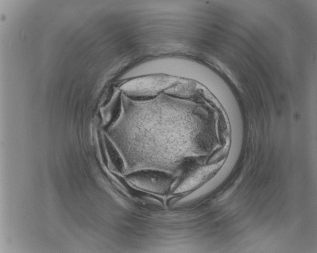 X0000075900589200610151818