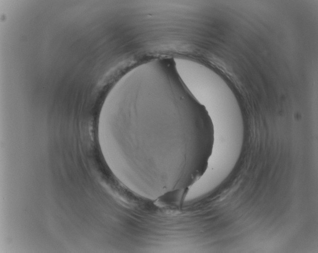 X0000075900590200610151818