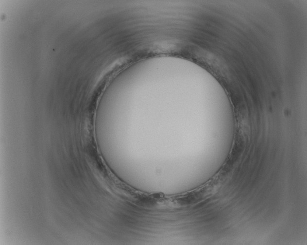 X0000075900591200610151818