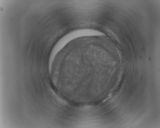 X0000075900593200610151818