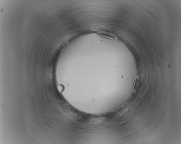 X0000075900595200610151818