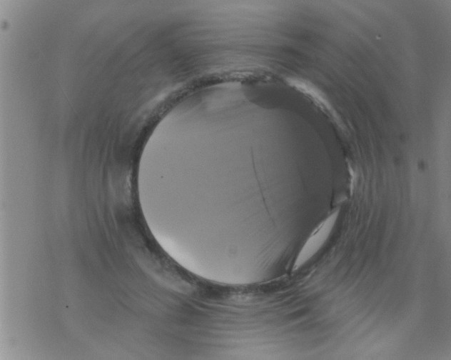 X0000075900596200610151818