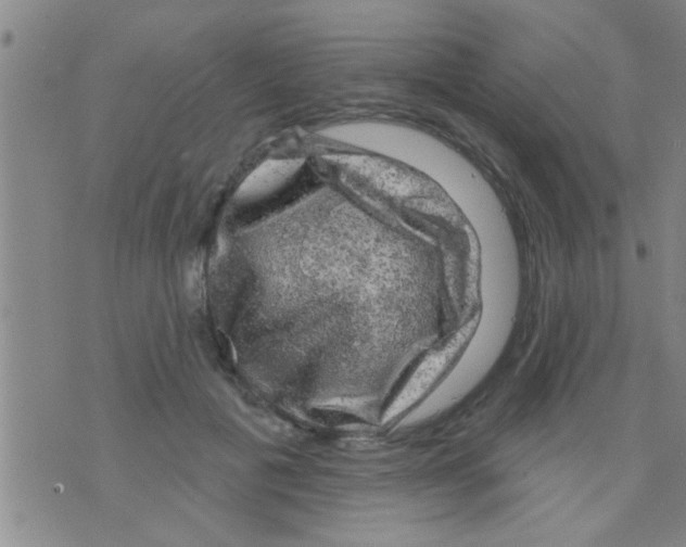 X0000075900601200610151818