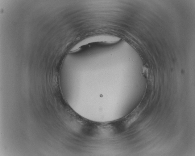 X0000075900603200610151818