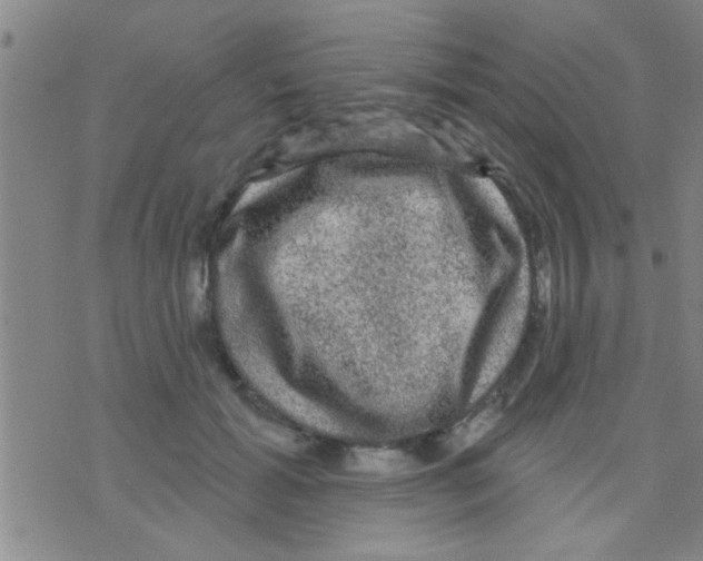 X0000075900605200610151818