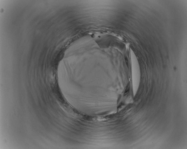 X0000075900607200610151818