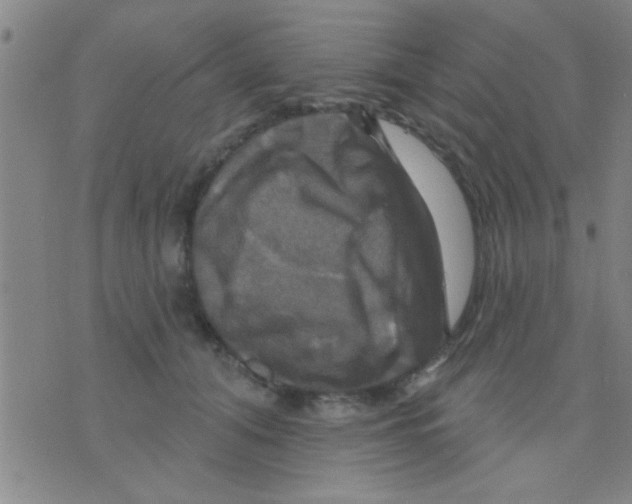 X0000075900608200610151818