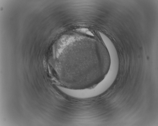 X0000075900609200610151818