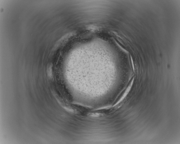 X0000075900611200610151818