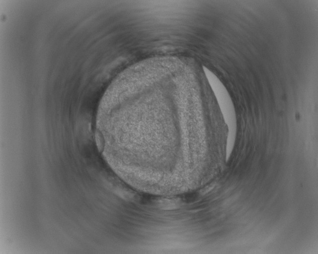 X0000075900615200610151818