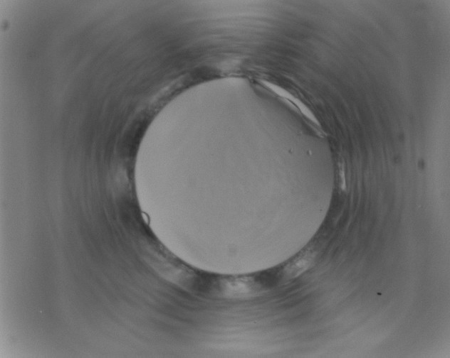 X0000075900618200610151818