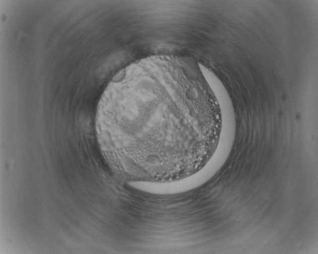 X0000075900619200610151818