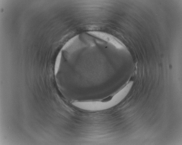 X0000075900620200610151818