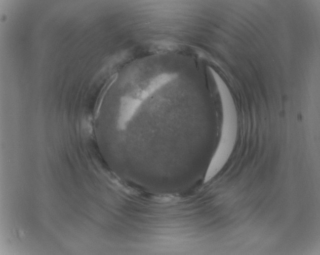 X0000075900621200610151818