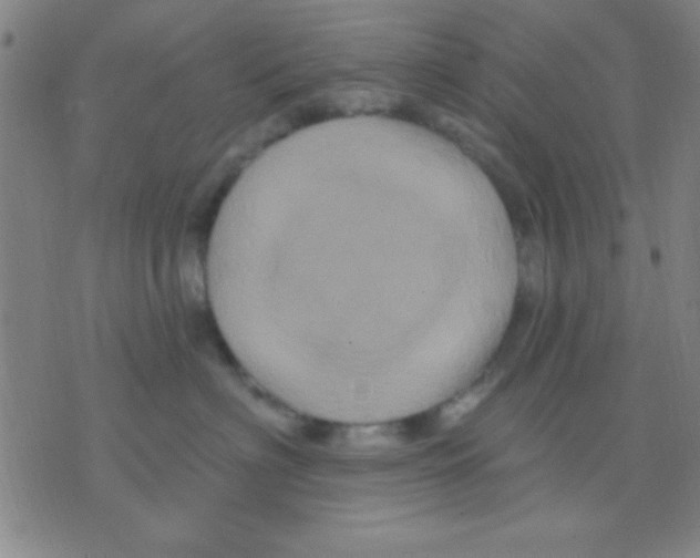 X0000075900622200610151818