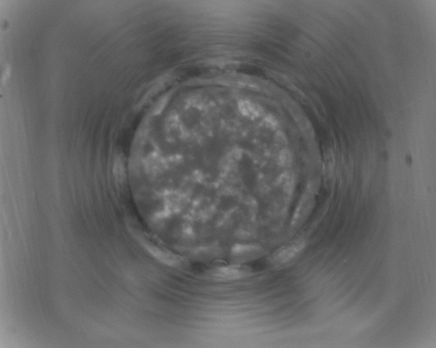 X0000075900623200610151818