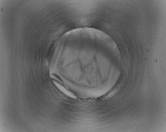 X0000075900624200610151818