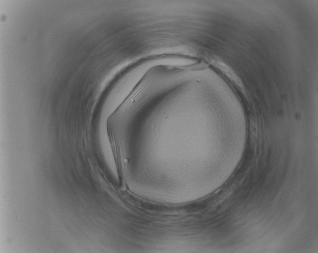 X0000075900628200610151817