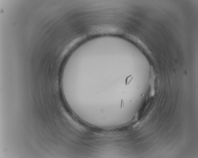 X0000075900629200610151817