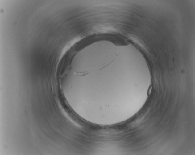 X0000075900630200610151817