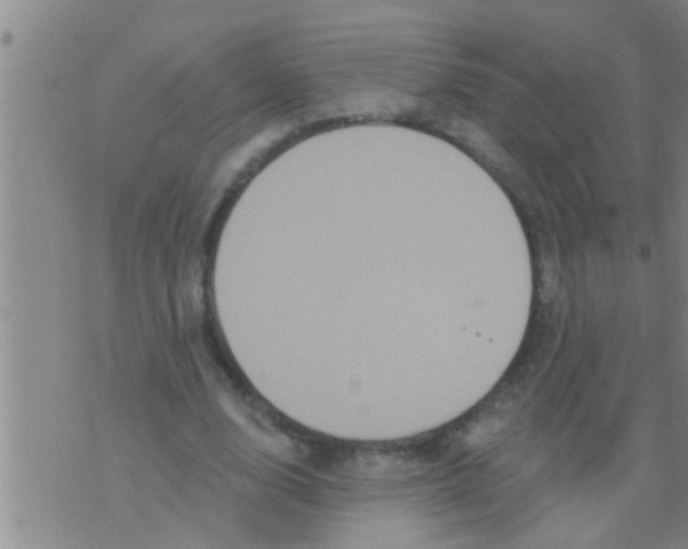 X0000075900632200610151817