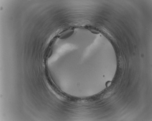 X0000075900634200610151817