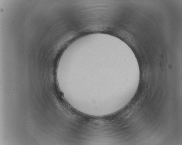 X0000075900635200610151817