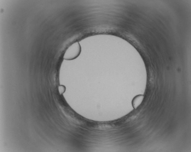 X0000075900636200610151817