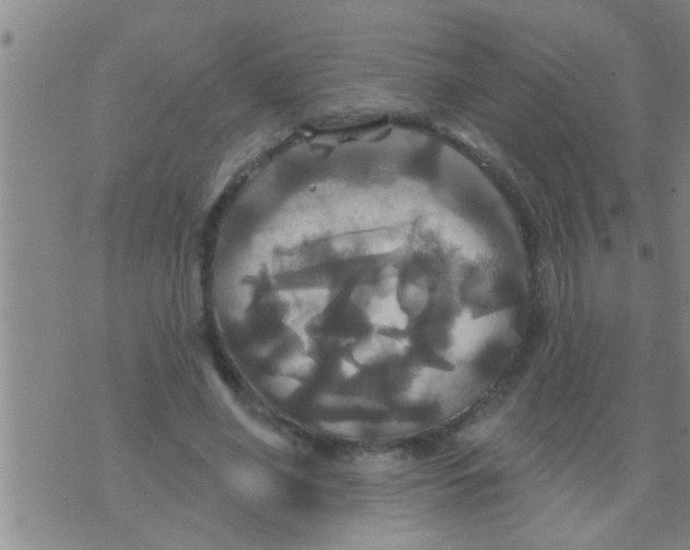 X0000075900638200610151817