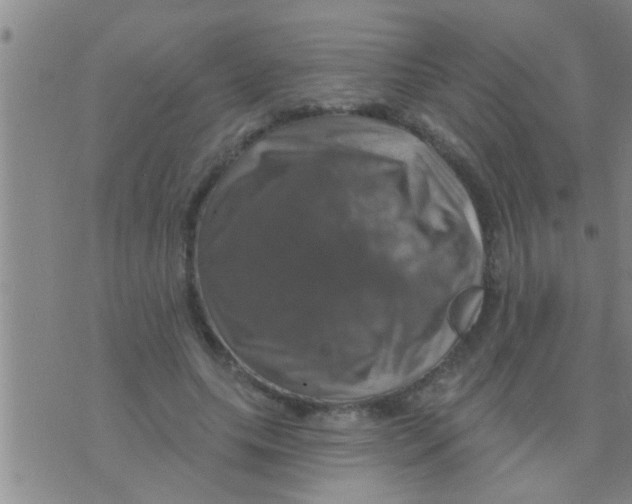 X0000075900639200610151817