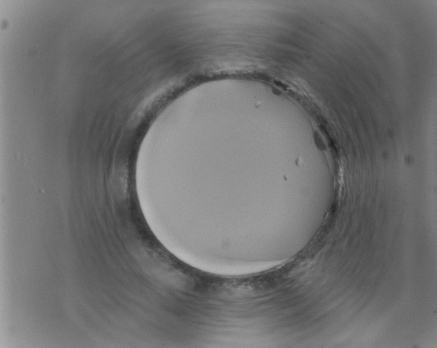 X0000075900640200610151817