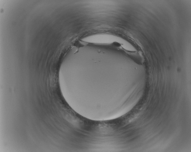 X0000075900641200610151817