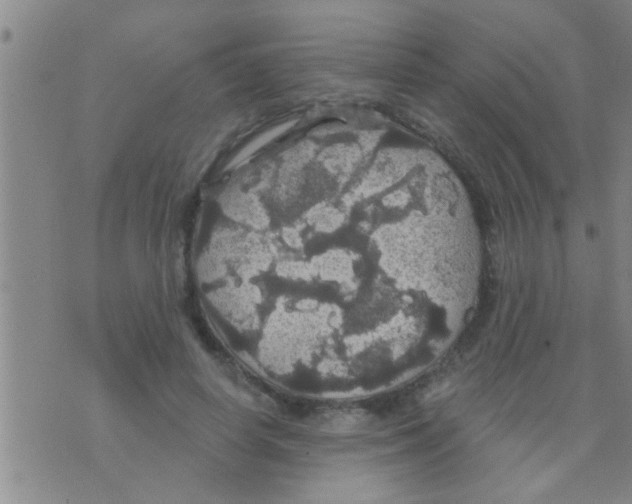 X0000075900642200610151817