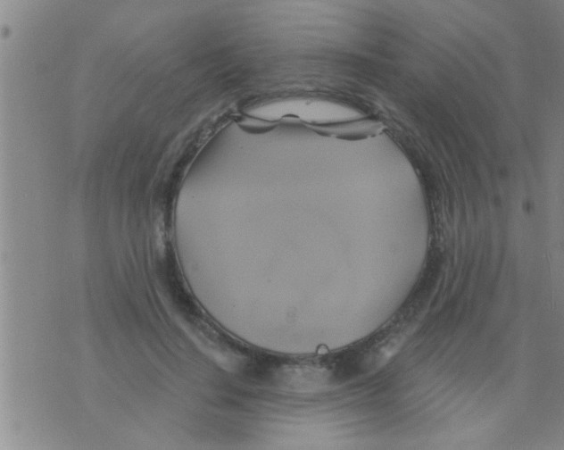 X0000075900644200610151817