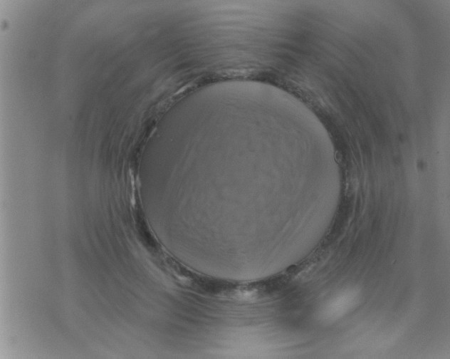 X0000075900647200610151817