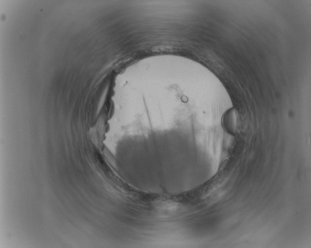 X0000075900648200610151817