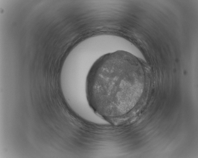 X0000075900649200610151817