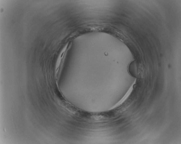 X0000075900650200610151817