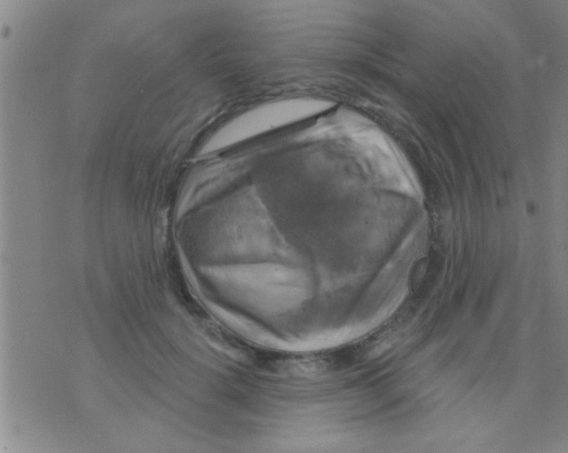 X0000075900652200610151817