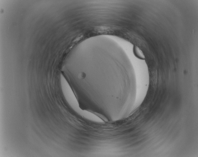 X0000075900653200610151817