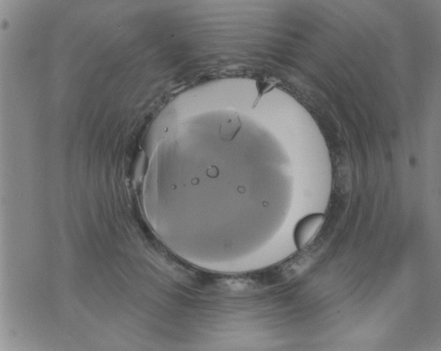 X0000075900654200610151817