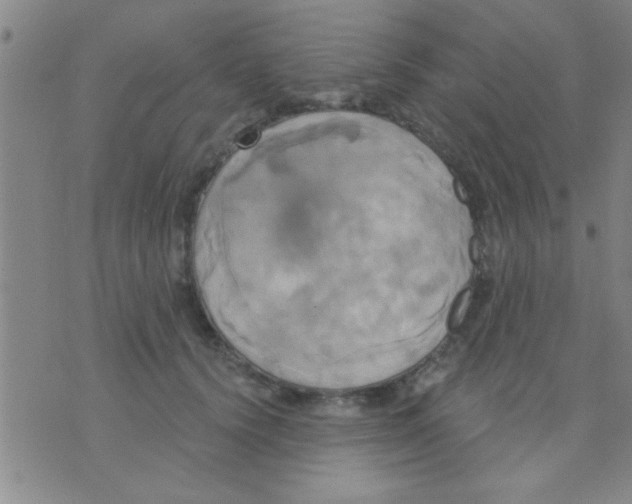 X0000075900656200610151817