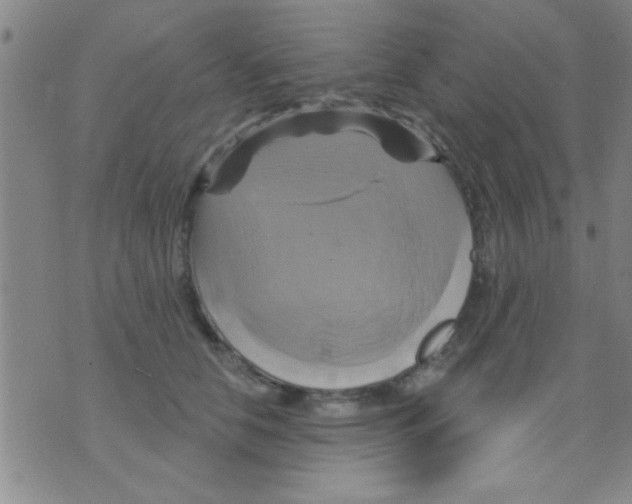 X0000075900658200610151817