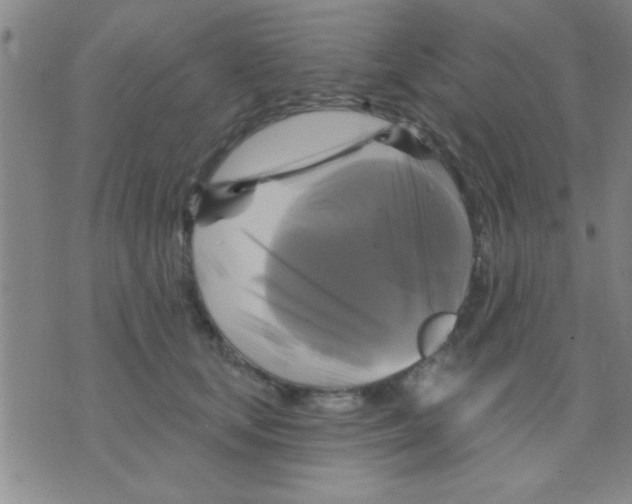 X0000075900659200610151817